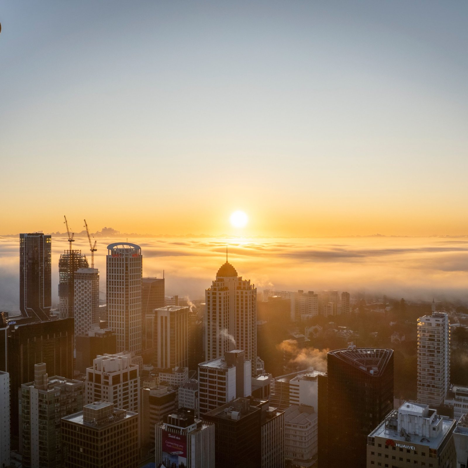 Auckland